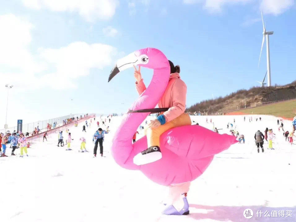 滑雪装备｜单板滑雪和双板滑雪装备有什么区别